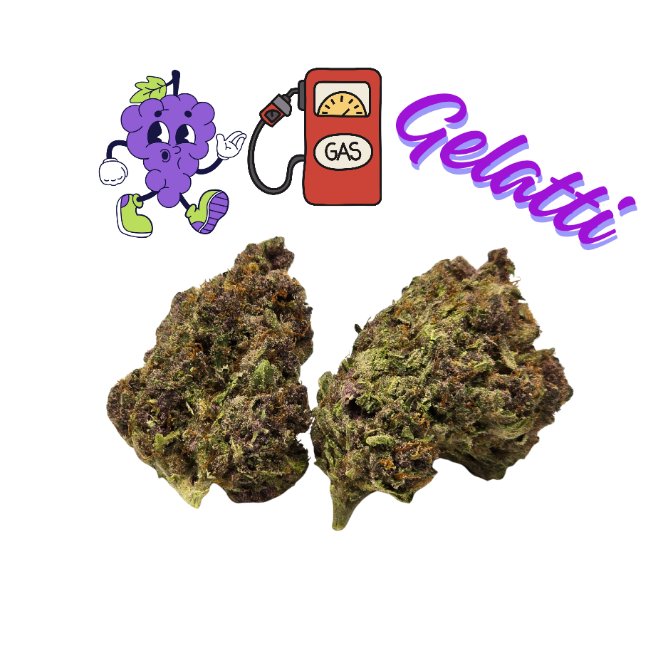 Grape Gas Gelatti - Diamond Tier- THCa- Sativa / 3.5g